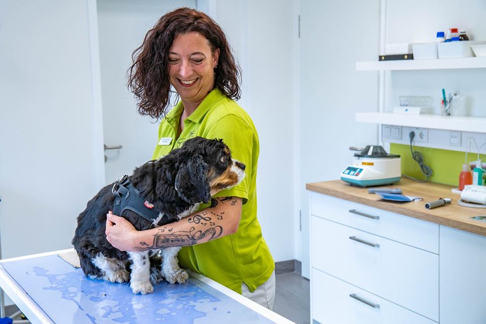 Tierärztliche Fachangestellte hält Hund auf Behandlungstisch